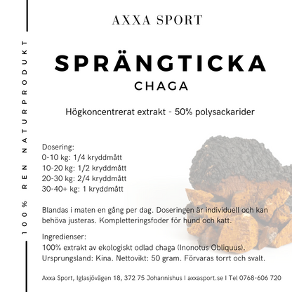 Sprängticka Chaga 50%